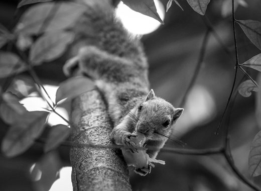 CC在线压力测试