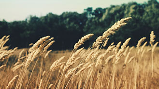 游戏点卡充值的免费ddos攻击网页端